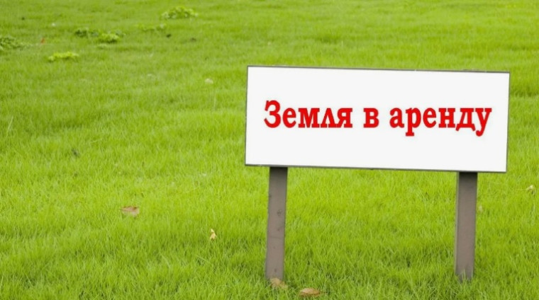 О возможности предоставления земельного участка в аренду. О возможности предоставления земельного участка в аренду.