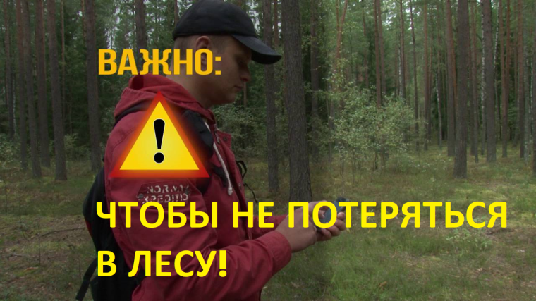 ВАЖНО: ЧТОБЫ НЕ ПОТЕРЯТЬСЯ В ЛЕСУ!. ВАЖНО: ЧТОБЫ НЕ ПОТЕРЯТЬСЯ В ЛЕСУ!.